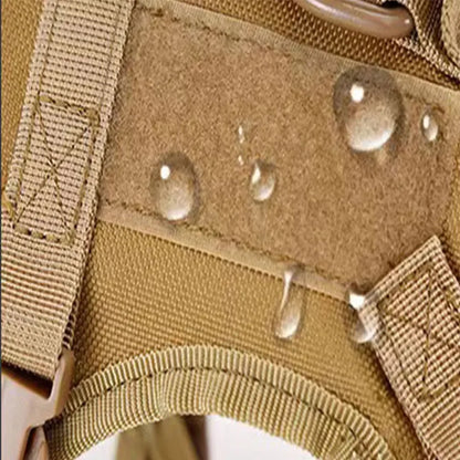 Conjunto chaleco y Correa para Gato estilo aventurero