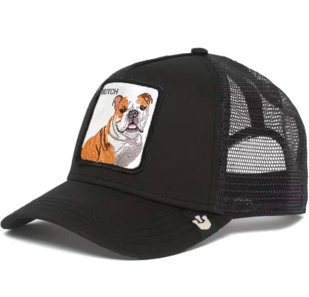 Gorra visera con parche animales