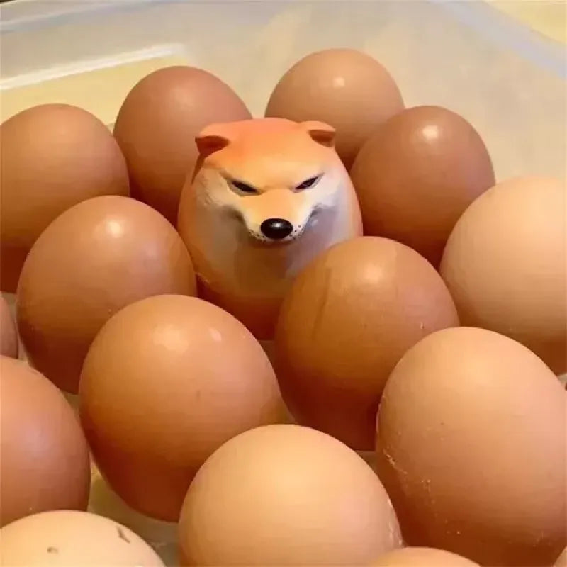 Huevo meme Perro 