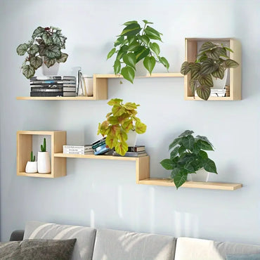 Planta  esilo Dólar 