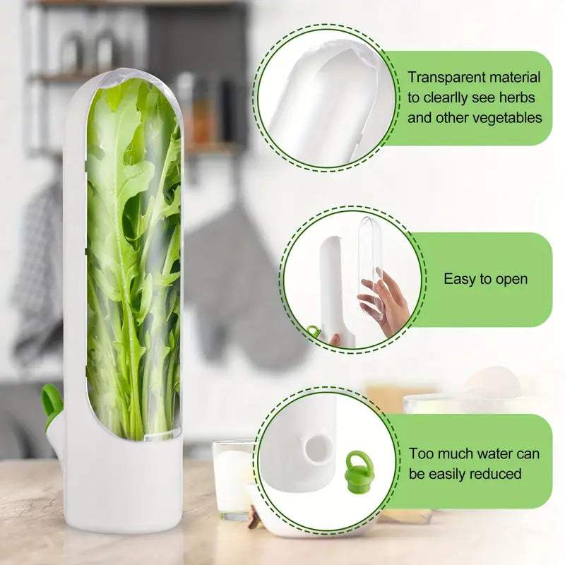 recipiente para guardar vegetales 