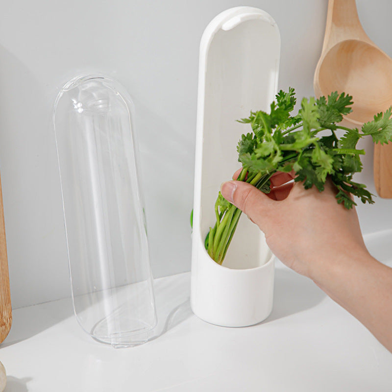recipiente para guardar vegetales 