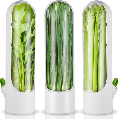 recipiente para guardar vegetales 
